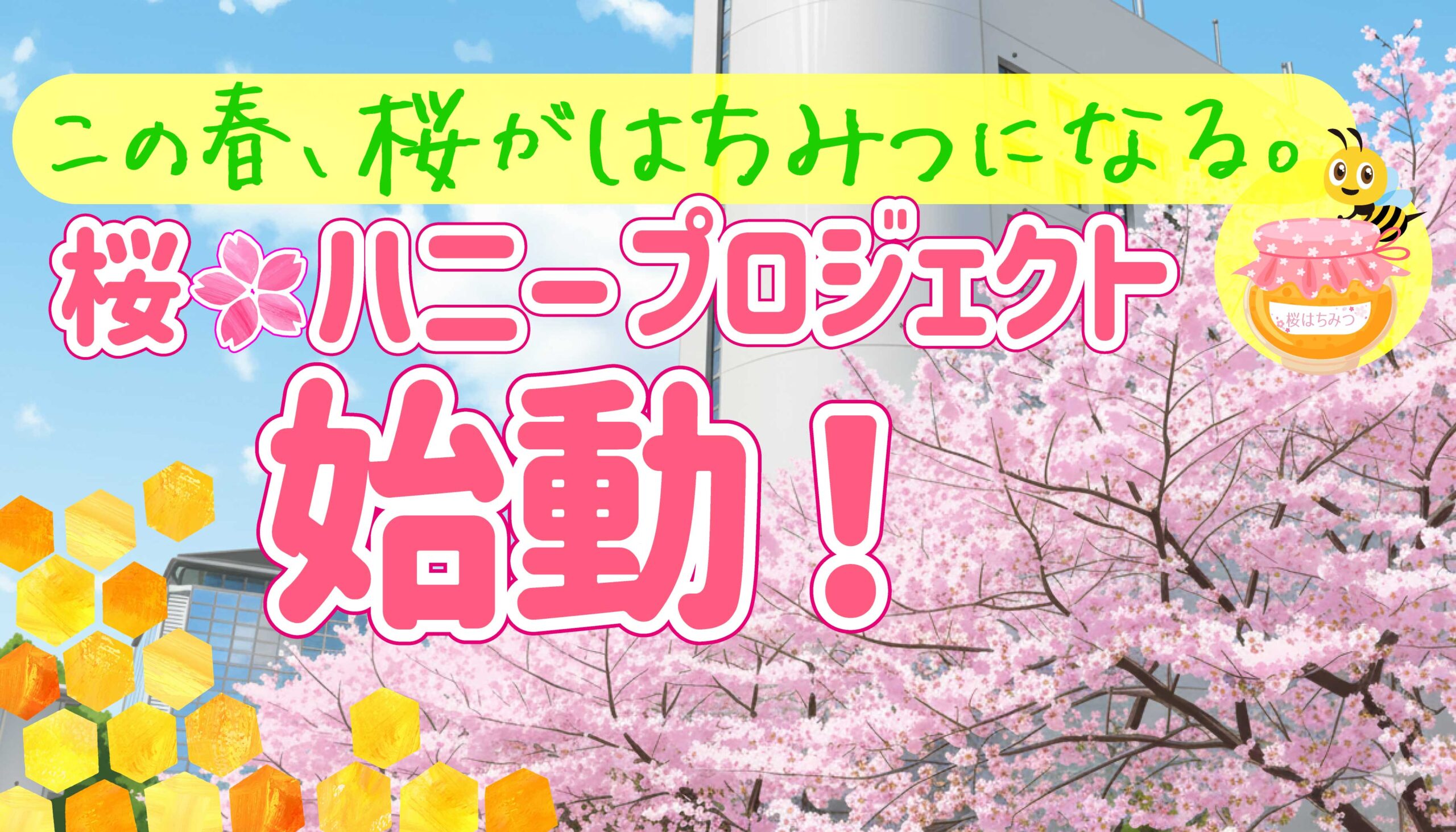 2026年3月、桜🌸ハニープロジェクト始まります