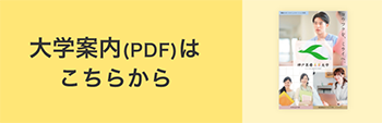 大学案内（PDF）はこちら