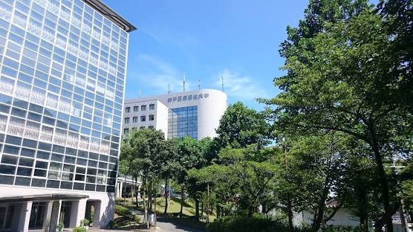 緑に囲まれた姫路キャンパスの校舎